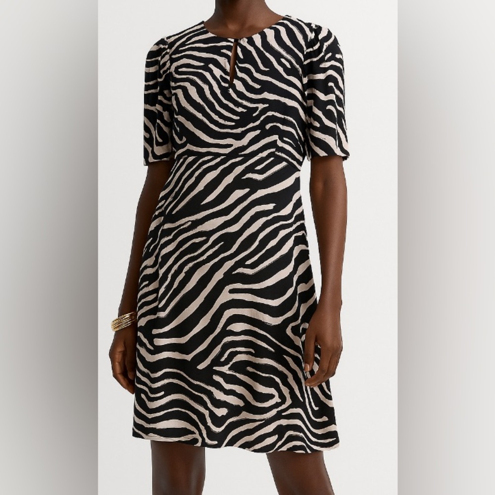 H&M Tan and Black Maximalist Zebra Print A-Line Dress Size 4